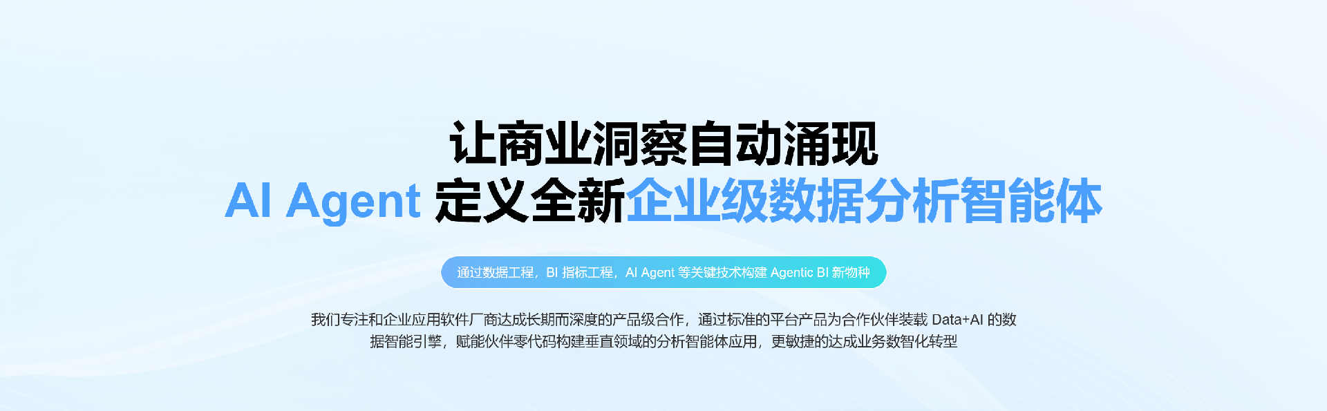 企业级数据分析智能体